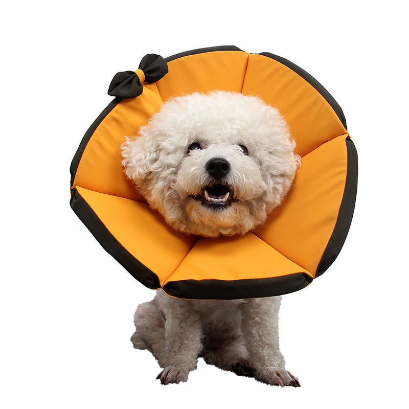 Collier de soins convalescents pour chiens malades
