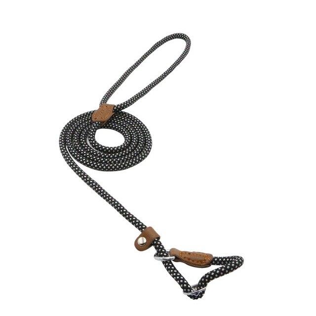 Ensemble pour chiots en nylon