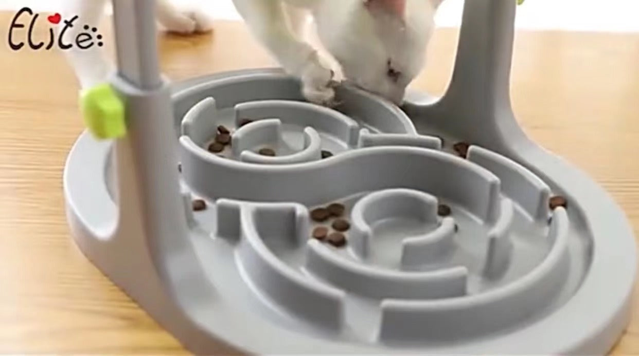Gamelle interactive pour chiots, distributeur de croquettes anti-glouton, jouet distributeur de croquettes pour chien