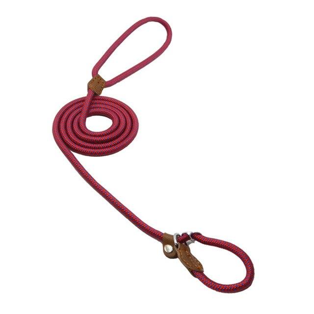 Ensemble pour chiots en nylon