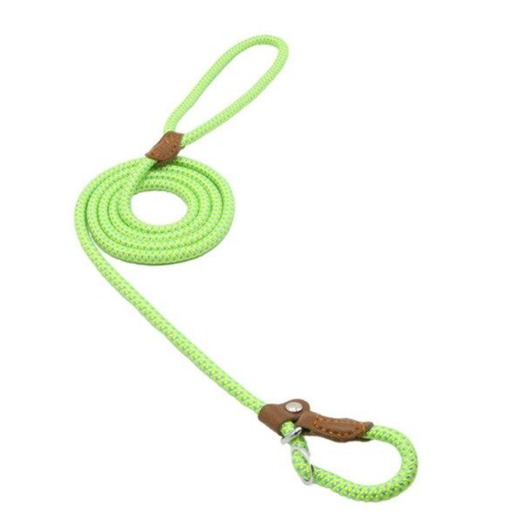 Ensemble pour chiots en nylon