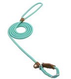 Ensemble pour chiots en nylon