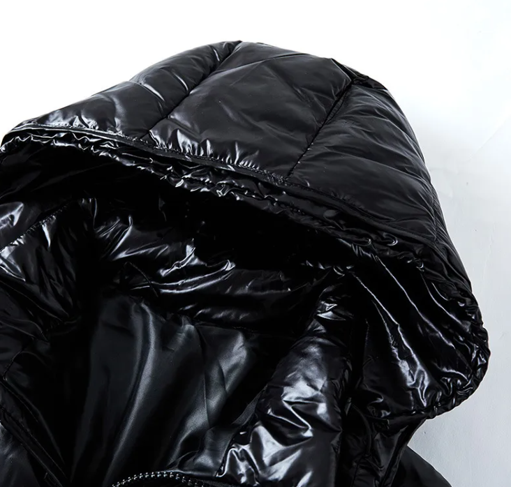 veste d'hiver