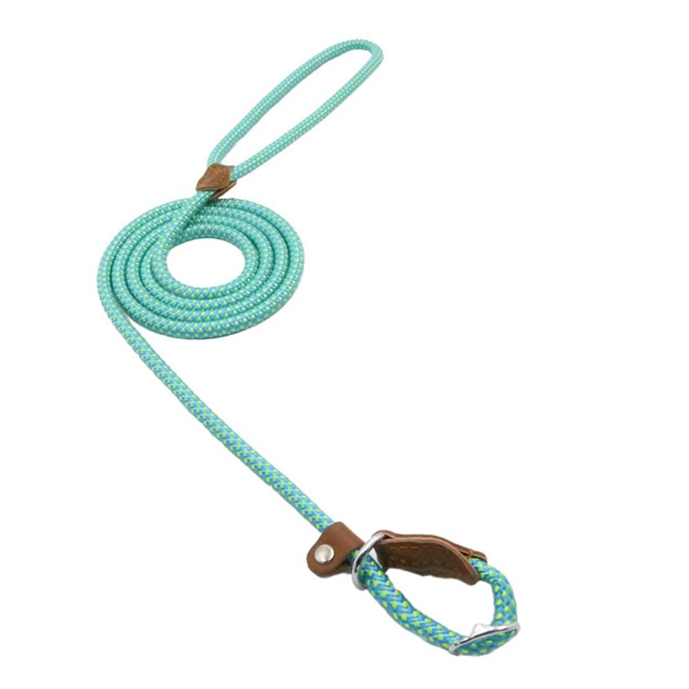 Ensemble pour chiots en nylon