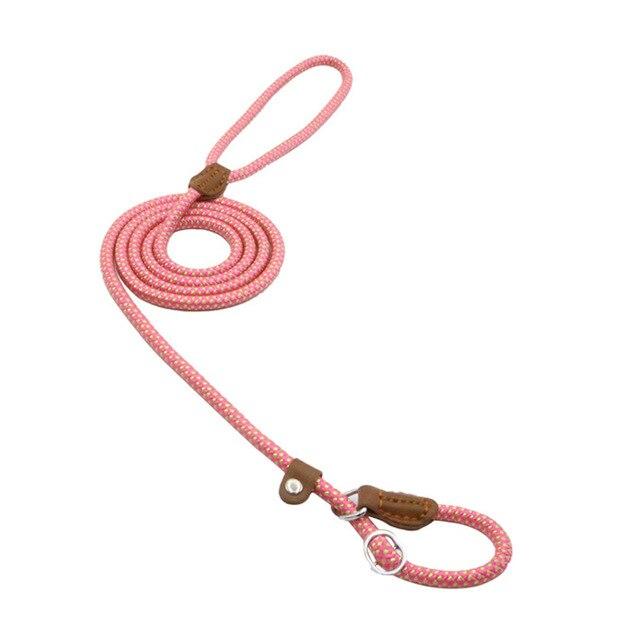 Ensemble pour chiots en nylon