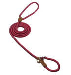 Ensemble pour chiots en nylon