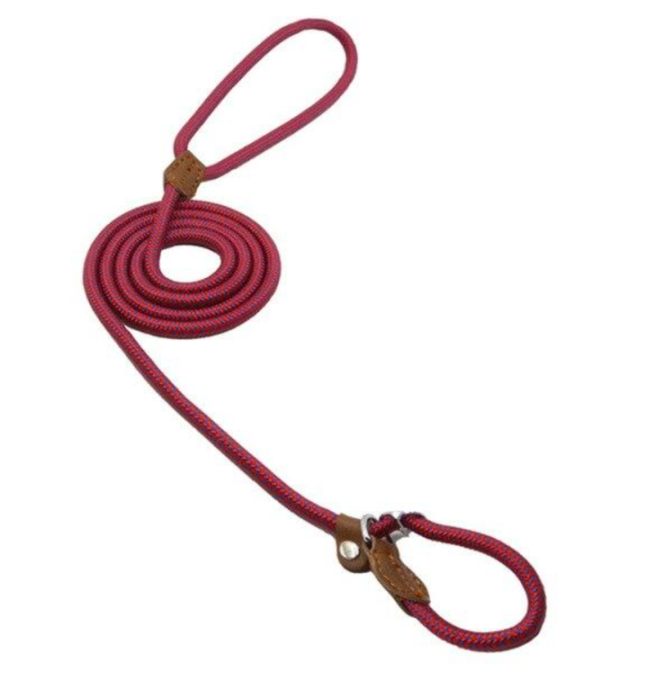 Ensemble pour chiots en nylon