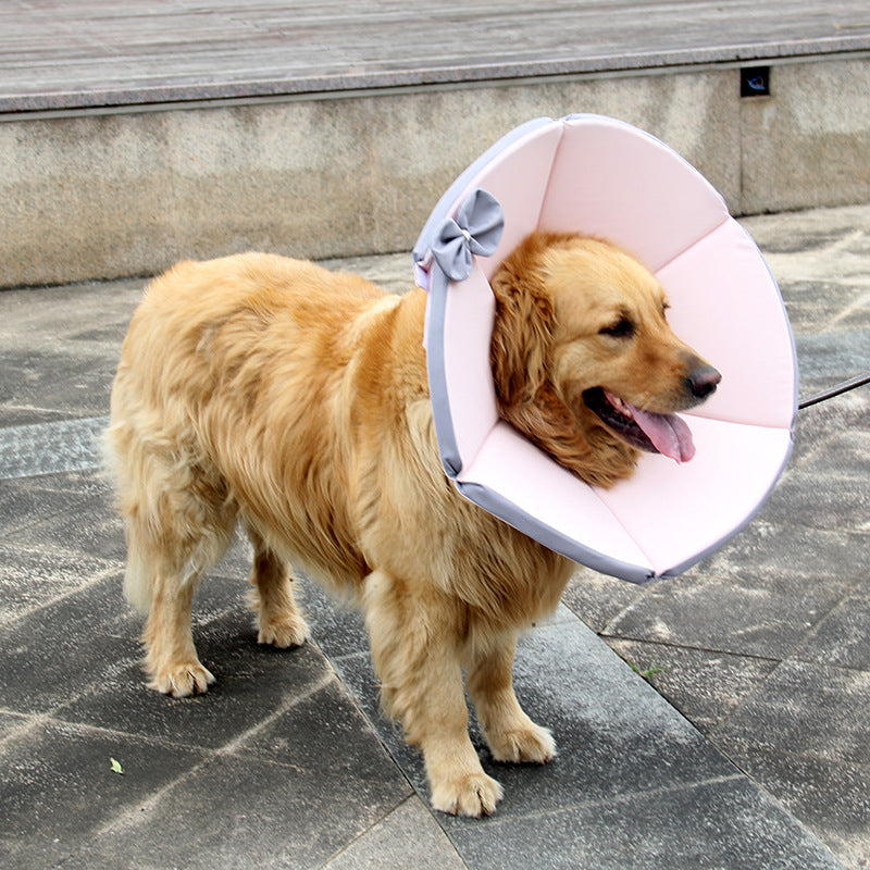 Collier de soins convalescents pour chiens malades