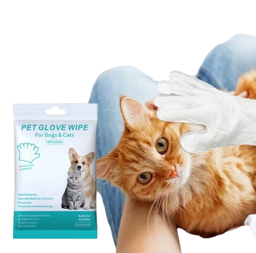 Gants et lingettes de nettoyage pour animaux