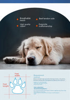 Bottines imperméables antidérapantes pour chiens