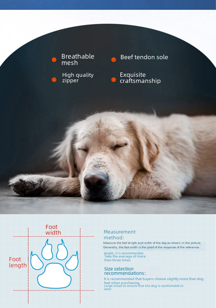 Bottines imperméables antidérapantes pour chiens