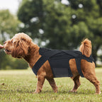 Orthèse dorsale pour chien souffrant de hernie discale, d'arthrite et nécessitant une convalescence