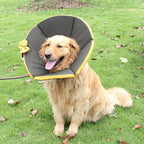 Collier de soins convalescents pour chiens malades