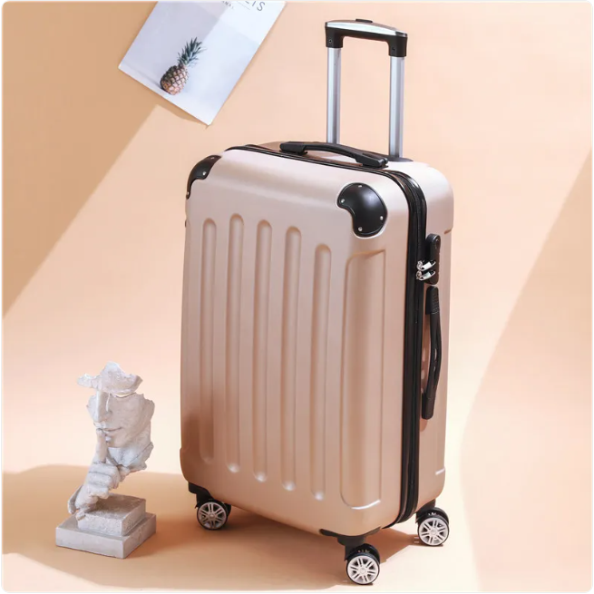 Valise trolley en cuir