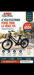 Vélo électrique mixte