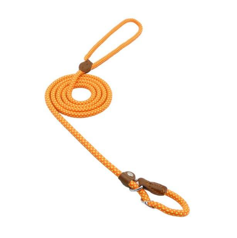 Ensemble pour chiots en nylon