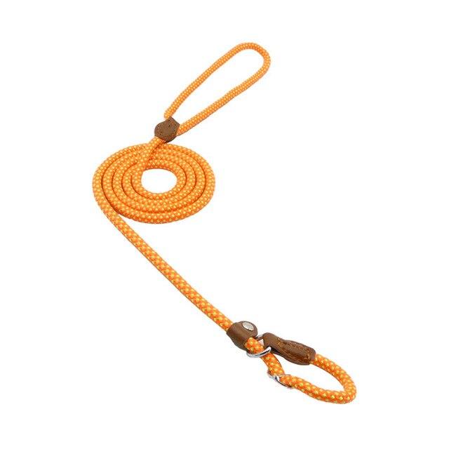 Ensemble pour chiots en nylon