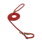 Ensemble pour chiots en nylon