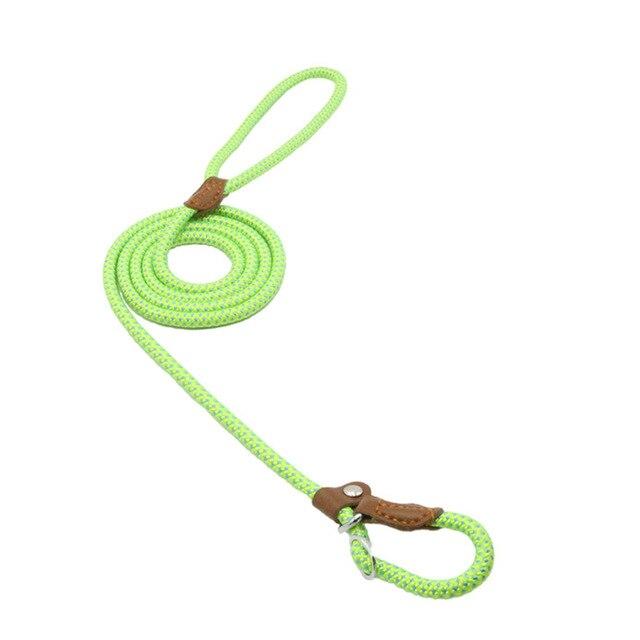 Ensemble pour chiots en nylon