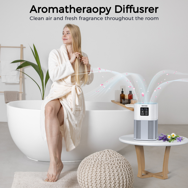 Purificateur d'air 2 en 1 avec diffuseur d'aromathérapie