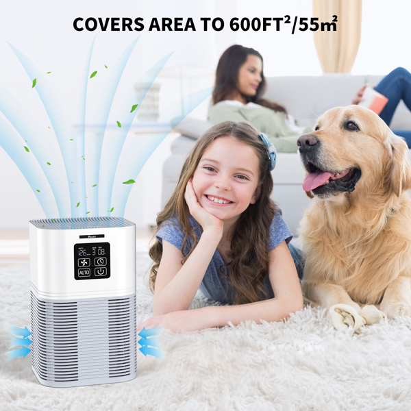 Purificateur d'air 2 en 1 avec diffuseur d'aromathérapie