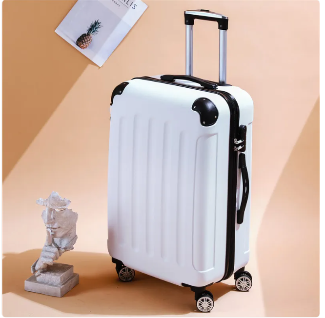 Valise trolley en cuir